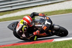 Simoncelli in Action